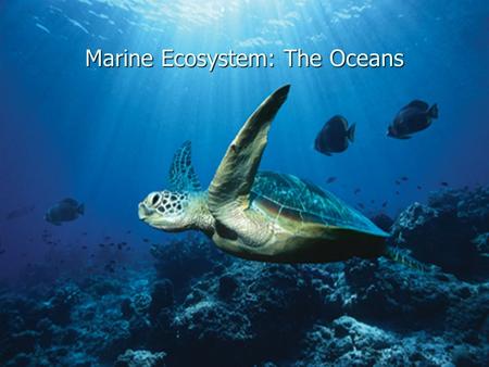Marine Ecosystem: The Oceans
