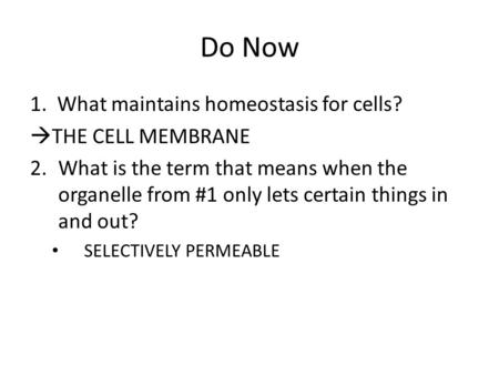 Do Now 1. What maintains homeostasis for cells?  THE CELL MEMBRANE 2.What is the term that means when the organelle from #1 only lets certain things in.