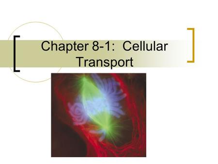 Chapter 8-1: Cellular Transport. Osmosis Water wants to be equal on both sides of the cell.