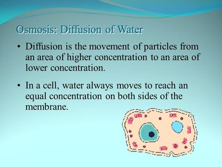 Section 8.1 Summary – pages 195 - 200 Diffusion is the movement of particles from an area of higher concentration to an area of lower concentration. Osmosis: