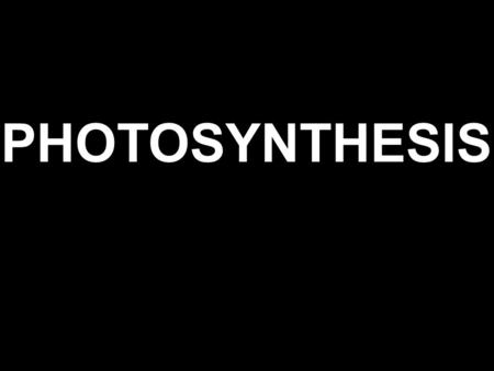 PHOTOSYNTHESIS AUTOTROPHS Organisms that use energy from the sun or energy stored in chemical compounds to make their own nutrients Processes: 1. Chemosynthesis.