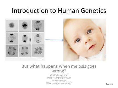 Introduction to Human Genetics But what happens when meiosis goes wrong? What when wrong? Happens meiosis wrong? When wrong? What meiosis goes wrong? Boehm.