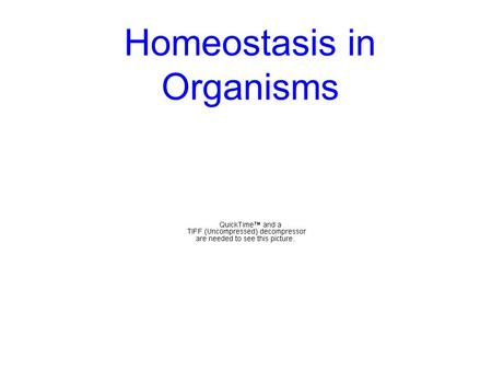 Homeostasis in Organisms