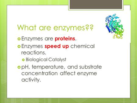 What are enzymes??  Enzymes are proteins.  Enzymes speed up chemical reactions.  Biological Catalyst  pH, temperature, and substrate concentration.