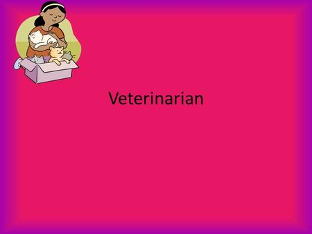 Veterinarian. Veterinarian job Duties Many veterinarians treat small companion animals. As a small animal vet, you may perform services such as spaying.