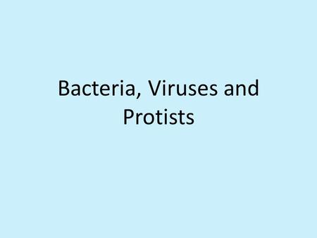 Bacteria, Viruses and Protists. Bacteria What bacteria are? Are they important? One gram of soil can have billions of them.
