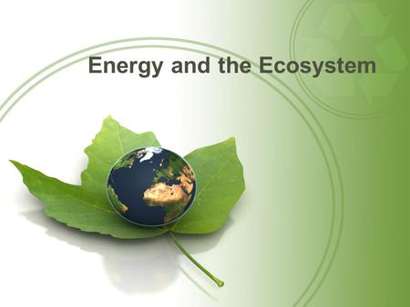 Energy and the Ecosystem. Questions for Today: How does energy flow in Ecosystems? What happens to usable Energy as it travels through a food chain or.