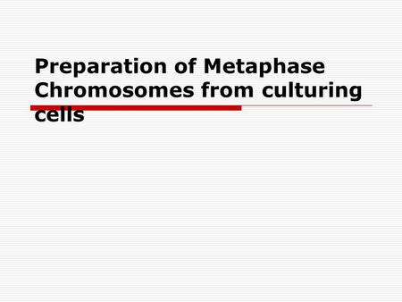 Preparation of Metaphase Chromosomes from culturing cells.
