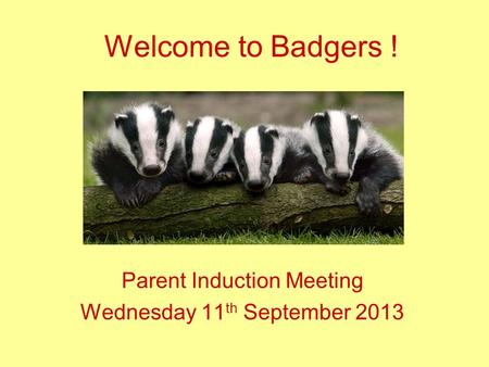 Welcome to Badgers ! Parent Induction Meeting Wednesday 11 th September 2013.
