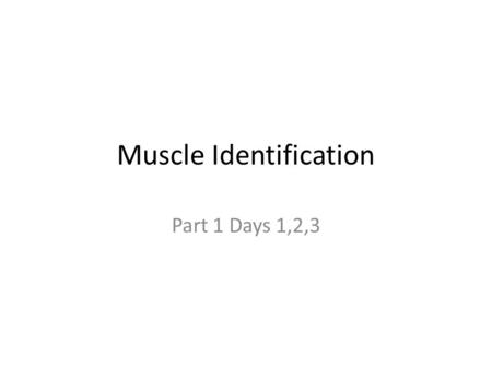 Muscle Identification Part 1 Days 1,2,3. Temporalis Origin: Temporal Bone Insertion: mandible Action: close jaw (bite)