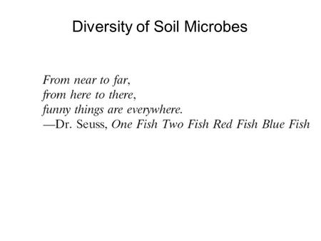 Diversity of Soil Microbes. Approaches for Assessing Diversity Microbial community Organism isolation Culture Nucleic acid extraction Molecular characterization.