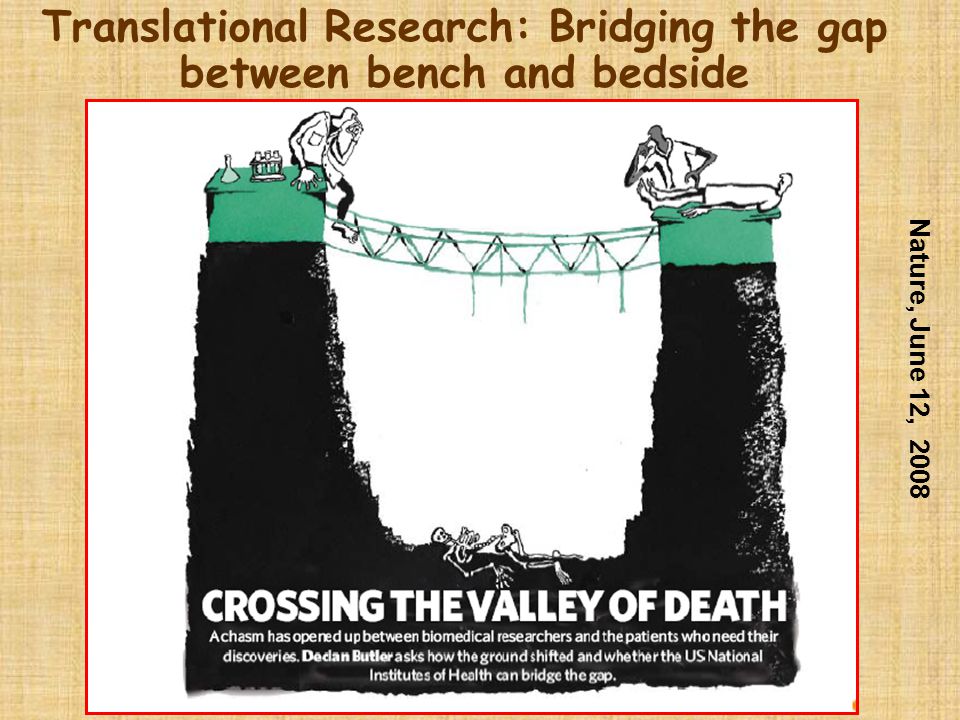 Mesothelioma Research and Bridging the Gap