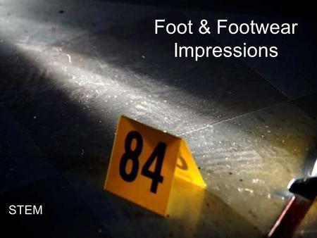 Footwear Evidence Foot & Footwear Impressions STEM.