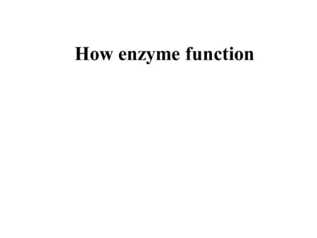 How enzyme function.