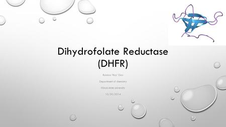 Dihydrofolate Reductase (DHFR)