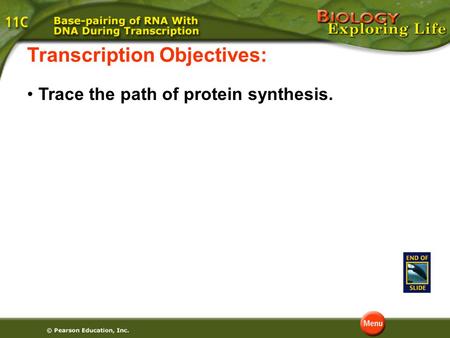 Transcription Objectives: Trace the path of protein synthesis.