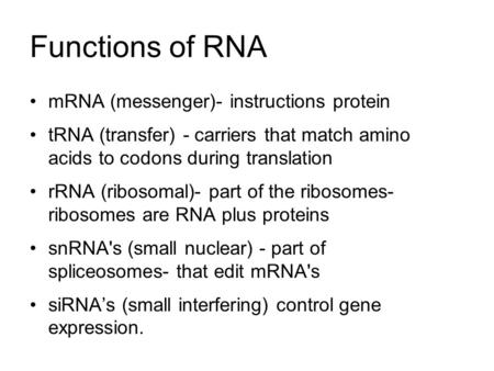 Functions of RNA mRNA (messenger)- instructions protein