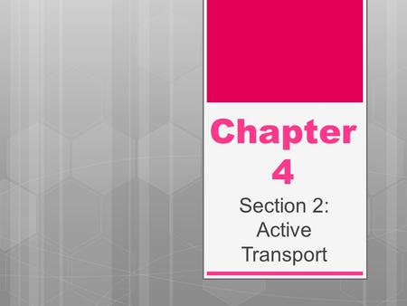 Section 2: Active Transport