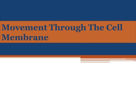 Movement Through The Cell Membrane. How Things Move in and Out of the Cell The cell membrane is selectively permeable, allowing some substances, but not.