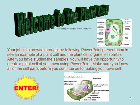 1 Your job is to browse through the following PowerPoint presentation to see an example of a plant cell and the plant cell organelles (parts). After you.