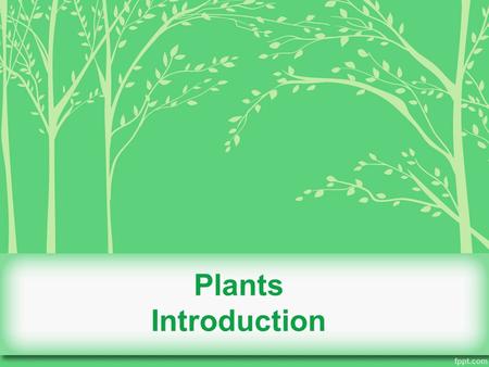 Plants Introduction.