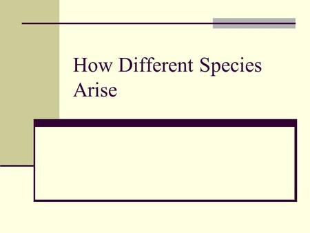 How Different Species Arise. What is a species? A group of organisms that can interbreed and produce fertile offspring in nature. New species arise through.