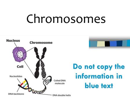 Chromosomes Do not copy the information in blue text.
