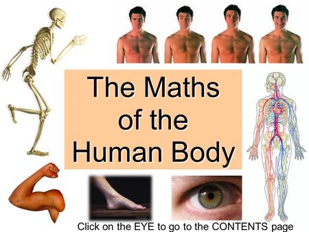 The Maths of the Human Body