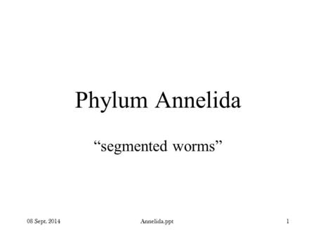 08 Sept. 2014Annelida.ppt1 Phylum Annelida “segmented worms”