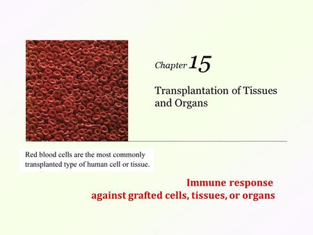Transplantation of Tissues and Organs