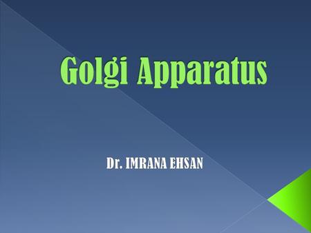  Golgi apparatus or golgi complex or simple Golgi is an organelle found in most of the eukaryotic cells.  It was one of the first organelle to be.