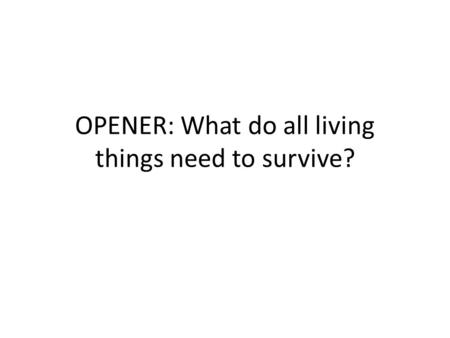 OPENER: What do all living things need to survive?