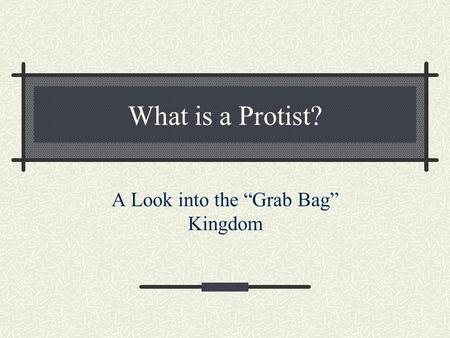 What is a Protist? A Look into the “Grab Bag” Kingdom.