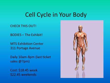 Cell Cycle in Your Body CHECK THIS OUT! BODIES – The Exhibit! MTS Exhibition Center 311 Portage Avenue Daily 10am-8pm (last ticket Cost: $18.45.