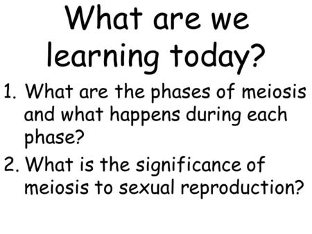 What are we learning today?