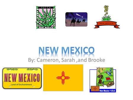 By: Cameron, Sarah,and Brooke. The capital of New Mexico is… City of Santa Fe.