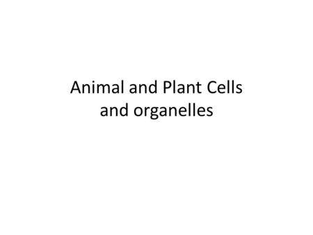 Animal and Plant Cells and organelles. road system.