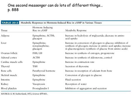 One second messenger can do lots of different things… p. 888.