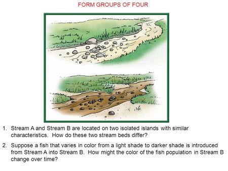1.Stream A and Stream B are located on two isolated islands with similar characteristics. How do these two stream beds differ? 2.Suppose a fish that varies.