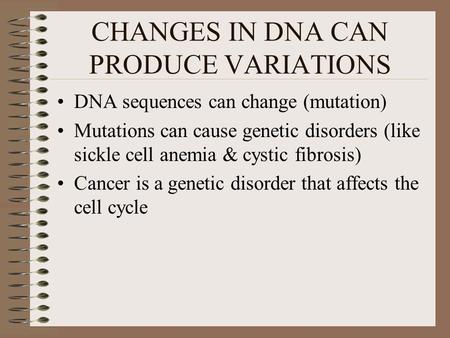 CHANGES IN DNA CAN PRODUCE VARIATIONS
