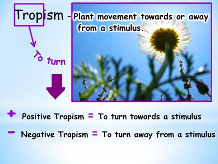 - Negative Tropism = To turn away from a stimulus + Positive Tropism = To turn towards a stimulus.