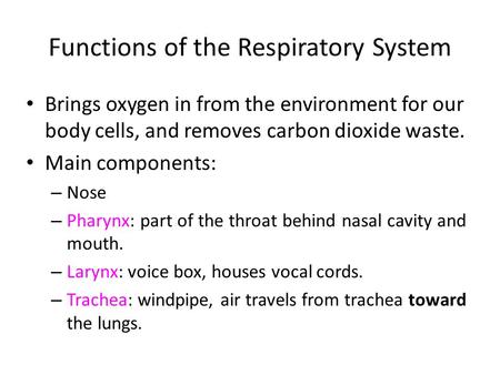 Functions of the Respiratory System Brings oxygen in from the environment for our body cells, and removes carbon dioxide waste. Main components: – Nose.