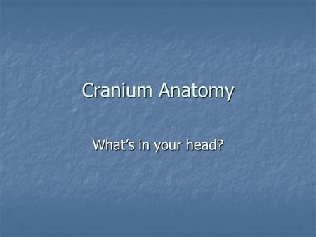 Cranium Anatomy What’s in your head?. ANATOMY OF THE SKULL & BRAIN A. The “SCALP” S – Skin- of the scalp is more dense than anywhere else on the body.
