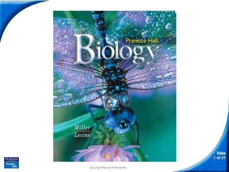 Slide 1 of 31 Copyright Pearson Prentice Hall Biology.