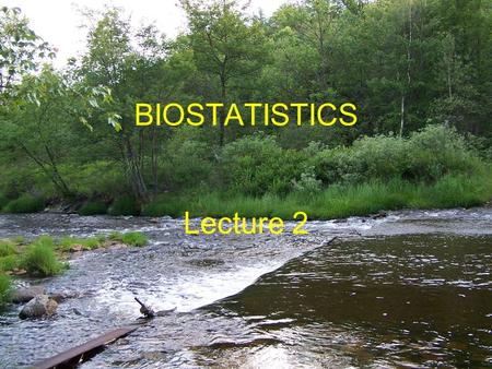 BIOSTATISTICS Lecture 2. The role of Biostatisticians Biostatisticians play essential roles in designing studies, analyzing data and creating methods.