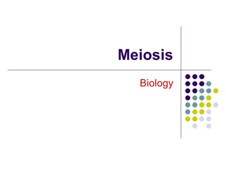 Meiosis Biology.