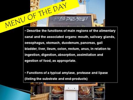 MENU OF THE DAY Describe the functions of main regions of the alimentary canal and the associated organs: mouth, salivary glands, oesophagus, stomach,