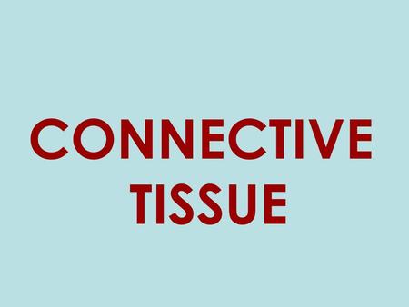 CONNECTIVE TISSUE. Connective Tissue Most abundant and widely distributed Types –Connective tissue proper –Cartilage –Blood –Bone.