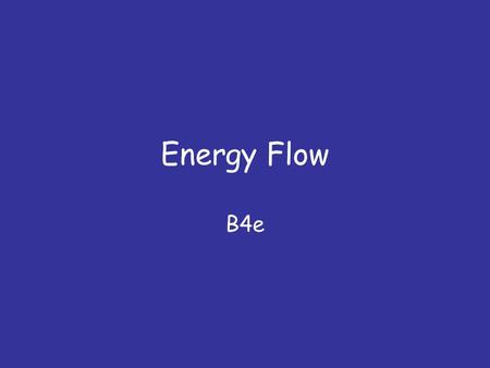 Energy Flow B4e. OBJECTIVES Key Objective Explain the flow of energy in the environment Construct pyramids of numbers from given information and explain.
