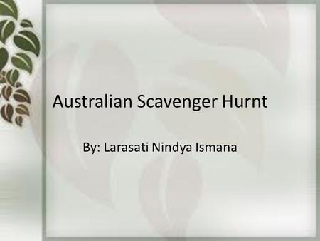 Australian Scavenger Hurnt By: Larasati Nindya Ismana.